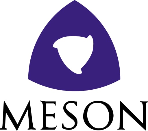 MESON